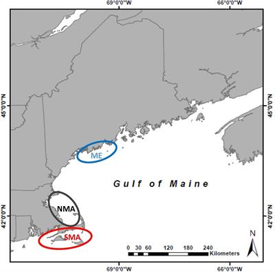 Geographic Variation in Life-History Traits of Black Sea Bass (Centropristis striata) During a Rapid Range Expansion